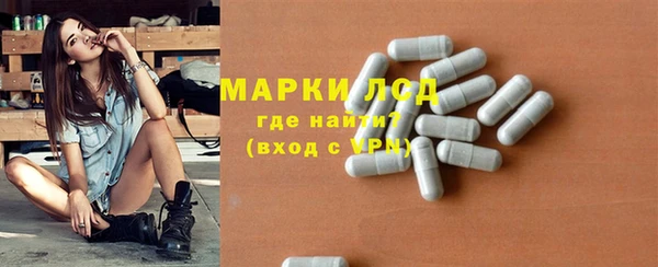 сатива Гусиноозёрск
