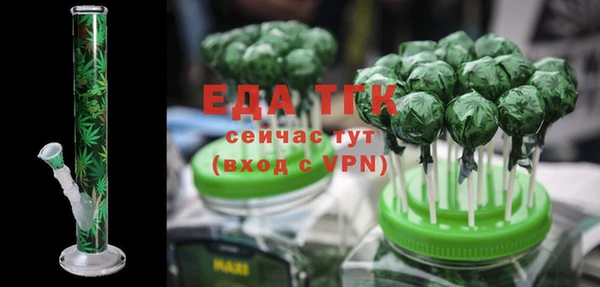 первитин Гусев