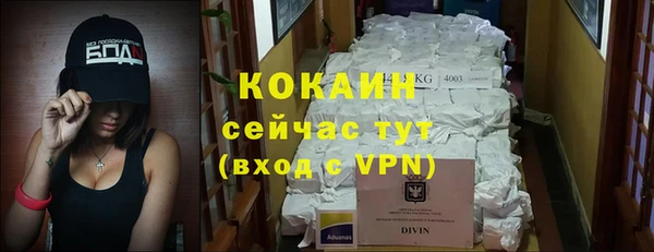 сатива Гусиноозёрск