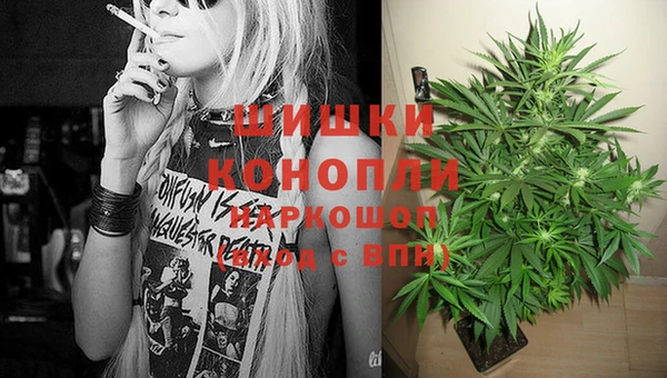 метадон Гусь-Хрустальный